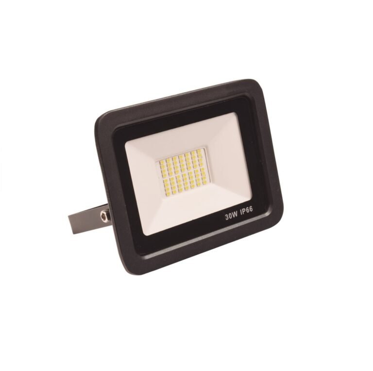 LED Verstraler 30W